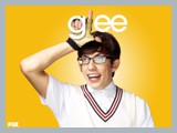 tv_glee14